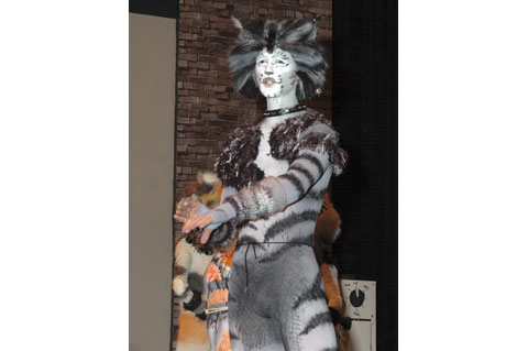 CATS