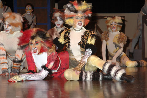 CATS